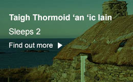 Taigh Thormoid button